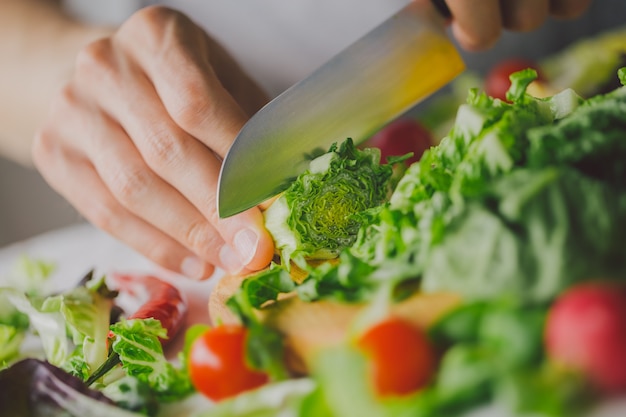 Processus de fabrication de salade végétarienne