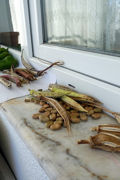 Le processus d'obtention de graines de légumes graines de légumes séchées au soleil devant la fenêtre