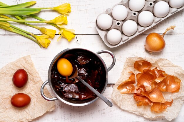 Le processus de peinture des œufs de Pâques avec des colorants végétaux naturels, des cosses d'oignon, sur une table en bois blanc, une vue de dessus des œufs de poule et des jonquilles jaunes.