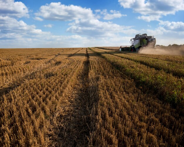 Processus de récolte par les récolteurs modèles de traces sur le chaume dans le champ