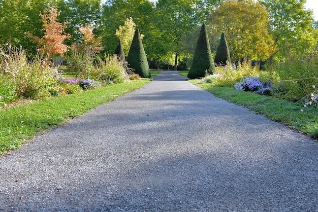 Proche d'un sentier pédestre en gravier traversant un magnifique parc public aménagé