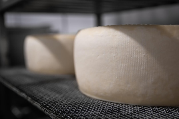 Un producteur de fromage fait maison produit de la mozzarella artisanale avec du lait frais de qualité de ses vaches brebis le matin Concept de tradition italie mozzarella