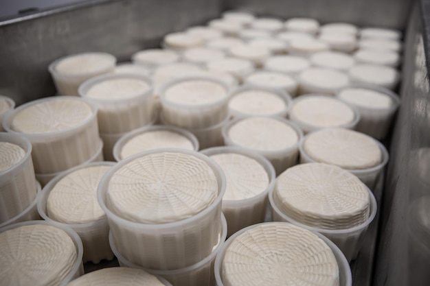 Un producteur de fromage fait maison produit de la mozzarella artisanale avec du lait frais de qualité de ses vaches brebis le matin Concept de tradition italie mozzarella