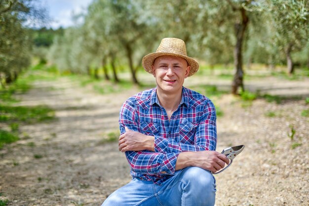 Producteur d'olives travaillant dans l'oliveraie.