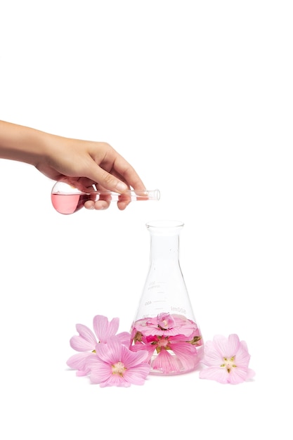 Production de cosmétiques naturels à base de fleurs, d'extrait de pétale dans une bouteille chimique.