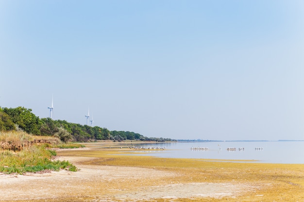 Production d&#39;énergie éolienne côtière