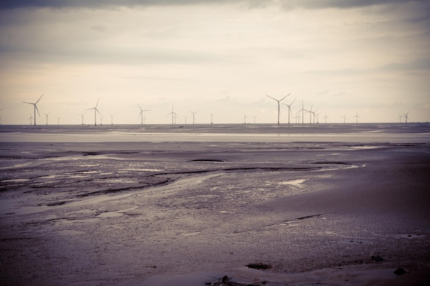 Production d'énergie éolienne sur la plage