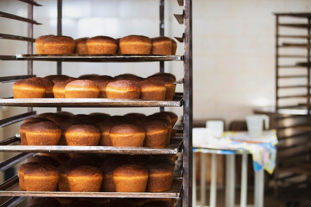 Production industrielle de pain Beaucoup de produits de boulangerie sur palettes Petit pain fraîchement cuit Boulangerie