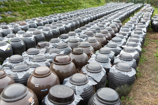 Production de Vinaigre en Barrique