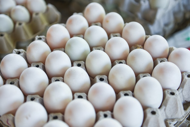 Produisez des œufs frais de la ferme bio. Oeufs frais boîte d'oeufs de canard blanc