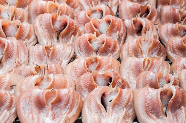 Produit alimentaire asiatique de poisson séché