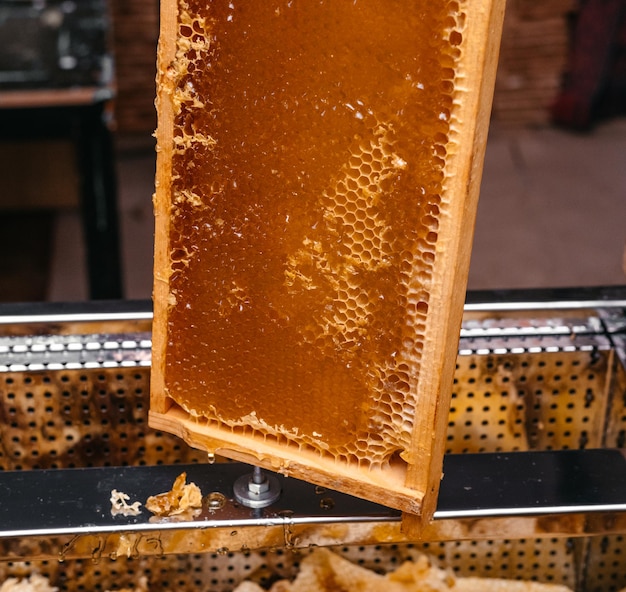 Photo produits apicoles délicieux et sains nid d'abeille avec du miel dans un cadre en bois apiculture de la ruche