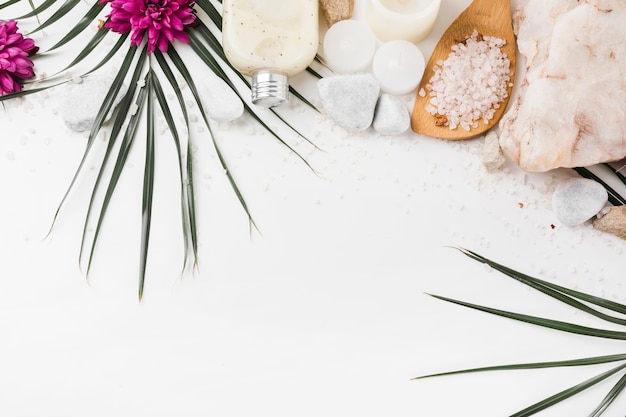 Photo produits à base de plantes spa isolés sur fond blanc