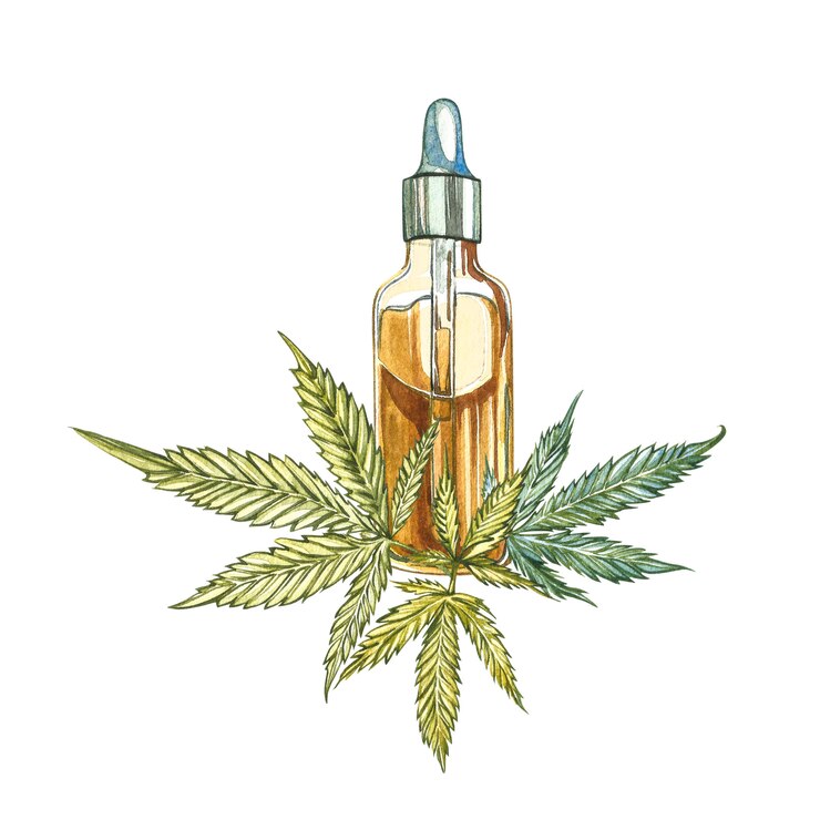 Produits de chanvre à l'huile de CBD. Illustration aquarelle sur blanc