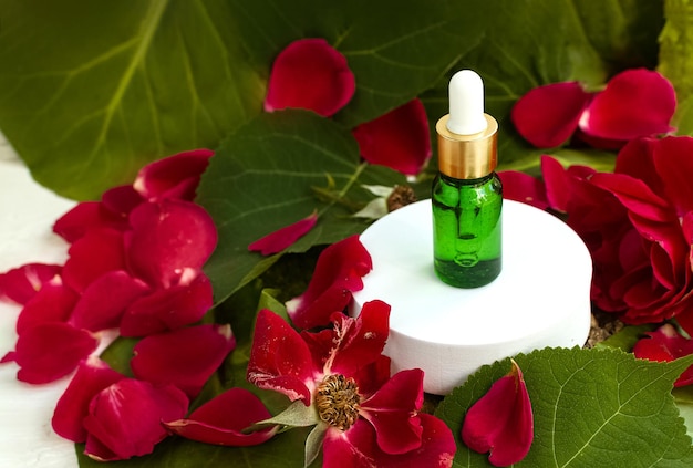 Produits cosmétiques écologiques pour les soins de la peau du corps du visage Flacon cosmétique en verre avec huile essentielle naturelle