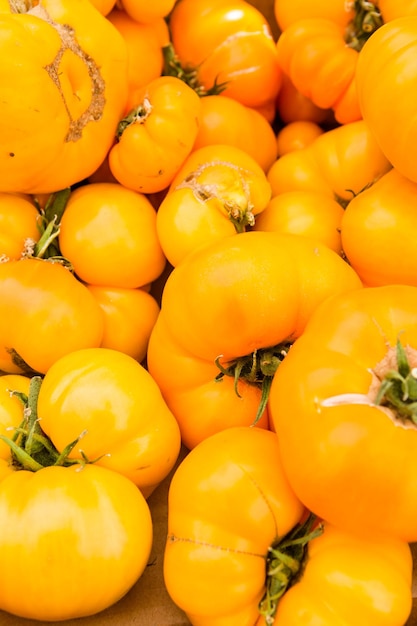 Produits frais au marché fermier au début de l'été.