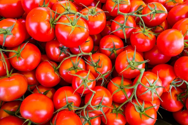 Produits frais au marché fermier au début de l'été.