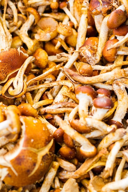 Produits frais au marché fermier local.