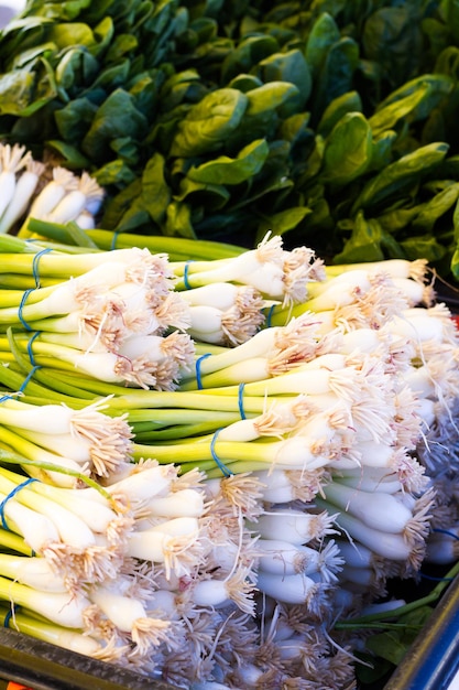 Produits frais au marché fermier local.