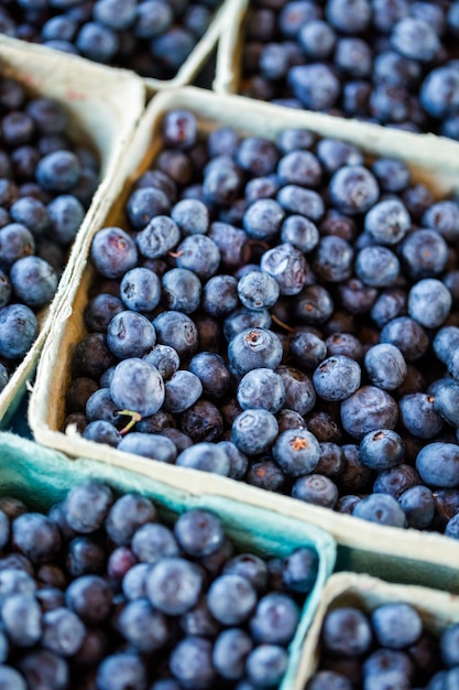 Produits frais bio au marché de producteurs locaux.