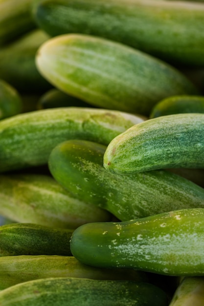 Produits frais bio au marché de producteurs locaux.