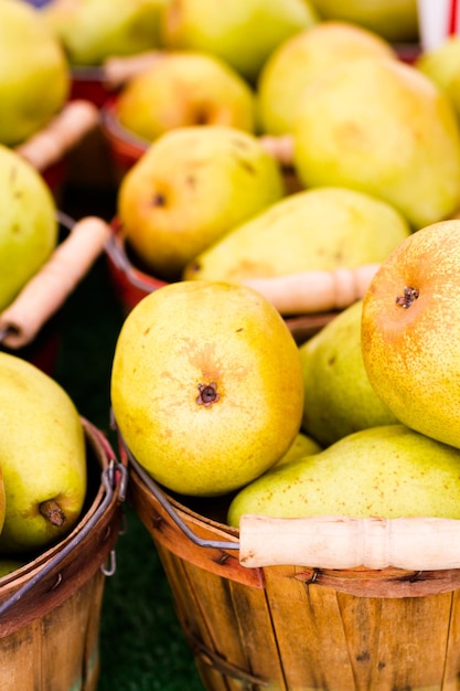 Produits frais en vente sur le marché des producteurs locaux.