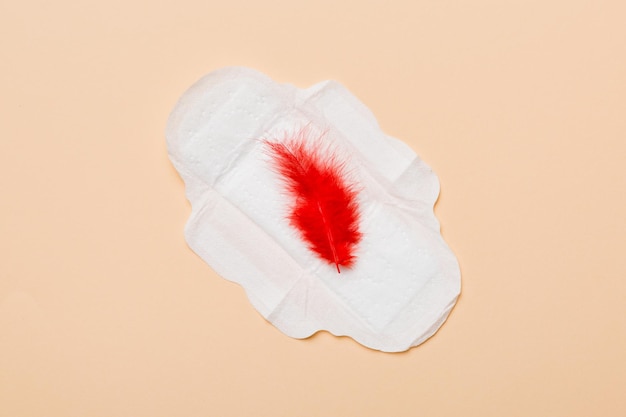 Photo produits d'hygiène pour femmes ou tampon hygiénique avec une plume rouge sur fond coloré couleur pastel closeup place vide pour le texte hygiène quotidienne féminine