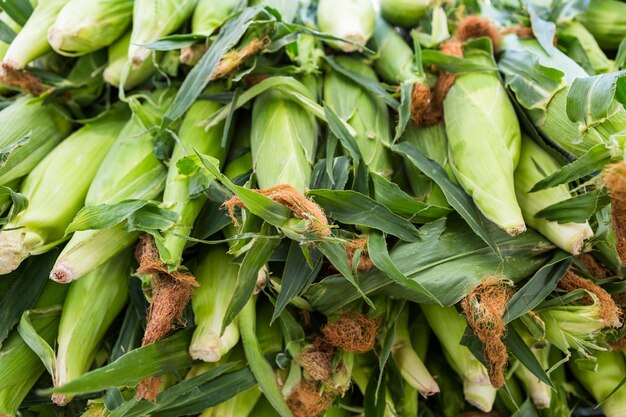 Produits locaux au marché fermier d'été de la ville.