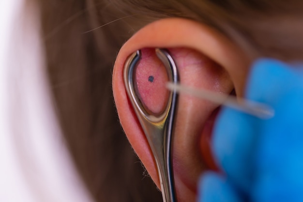 Professionnel tenant le bijou de piercing juste avant de visser la boule