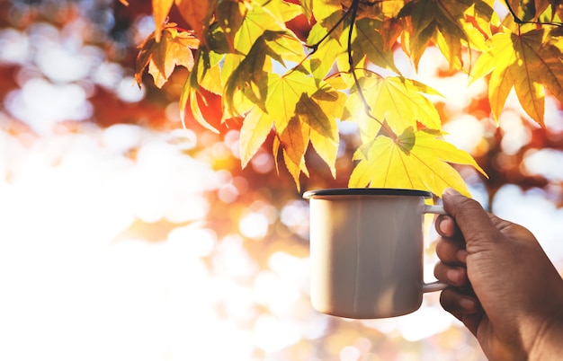 Photo profiter du café en automne et en automne. la main a soulevé une tasse de café chaud dans le ciel par une journée ensoleillée. prise de vue en pov. concentrez-vous sur la coupe. érable floue en arrière-plan