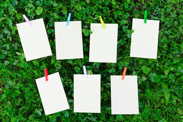 Programme hebdomadaire sur l'herbe avec du papier vide et des épingles colorées en bois, concept de plan scolaire