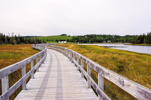 Une promenade au milieu d'un champ d'herbe contre le ciel