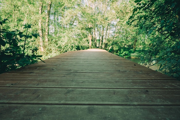 promenade en bois jusqu'à la forêt