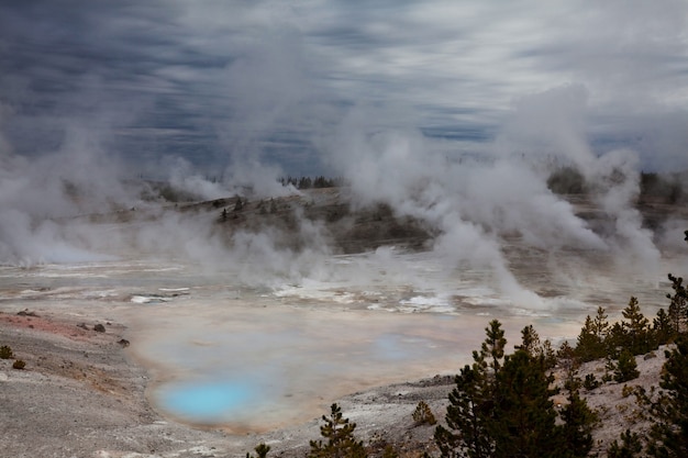 Promenade en bois le long des champs de geyser dans le Parc National de Yellowstone, USA