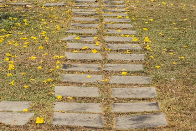 Promenade dans le jardin