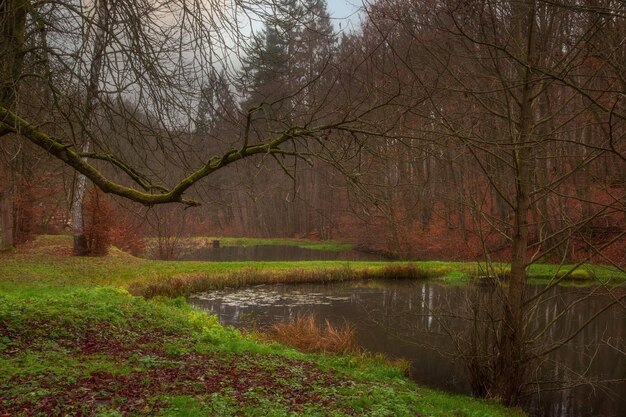 promenade dans le parc d'automne avec un lac