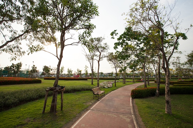 promenade dans le parc.