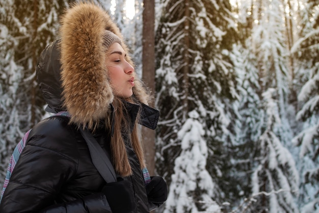 Promenade hivernale à travers la forêt enneigée belle forêt de pins