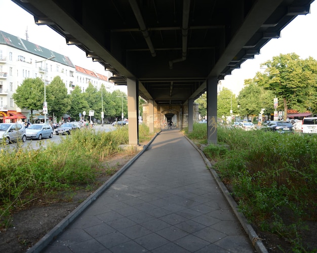 Promenade le long des arbres en ville