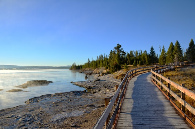 Photo promenade le long du lac yellowstone tôt le matin