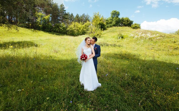 Promenade de mariage sur la nature