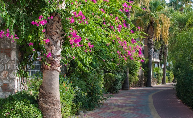 Promenade Marmaris Icmeler en Turquie