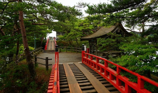 Photo promenade menant vers le sanctuaire