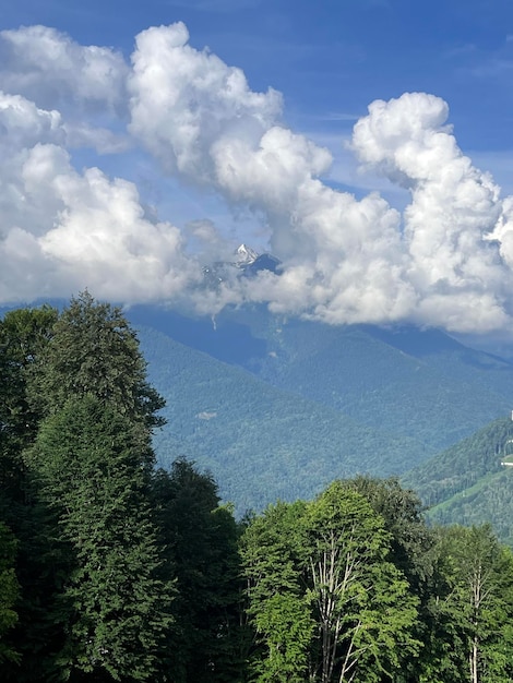 Une promenade en montagne par une journée d'été ensoleillée