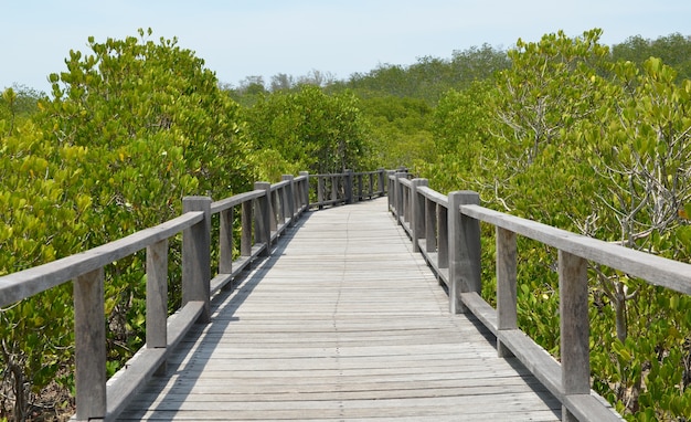 Promenade à l&#39;océan