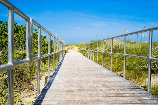 Promenade parmi l'avoine de mer à la plage en Floride