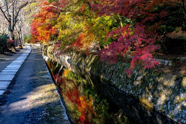 Une promenade de philosophes à Kyoto en automne