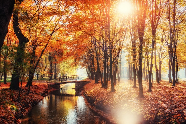 Photo promenade pont sur la rivière avec des arbres colorés en automne