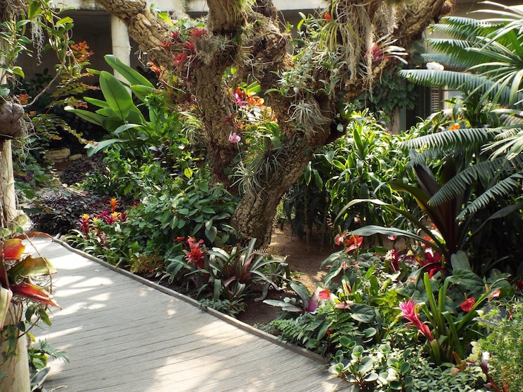 Photo promenade près des plantes et des arbres dans la cour