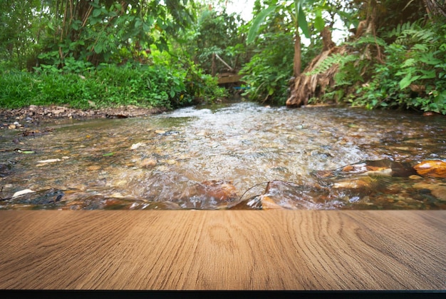 Promenade sur la rivière dans la forêt